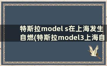 特斯拉model s在上海发生自燃(特斯拉model3上海自燃)